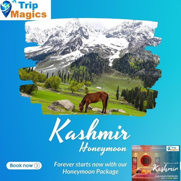 Family Kashmir 3 Nights Tour