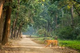 Nainital & Corbett 5 Days Tour Package