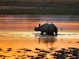 Golden Tour of North East (03 State)