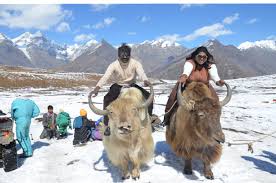 Shimla Manali Honeymoon Package Volvo Ticket 
