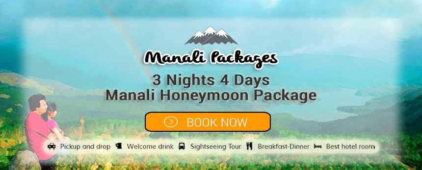  Manali 3 Night 4 days Romantic Honeymoon Package