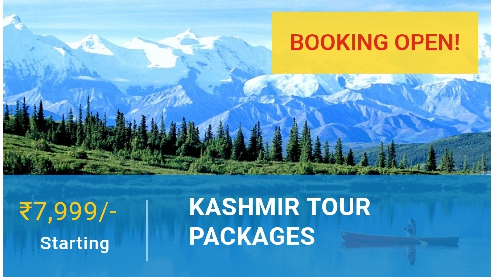 Mesmerizing Kashmir 3 Night 4 Day Package