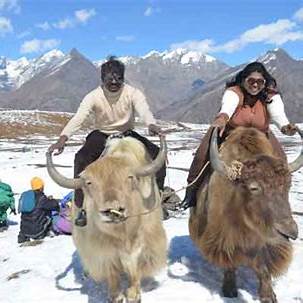Romantic Manali Honeymoon Tour