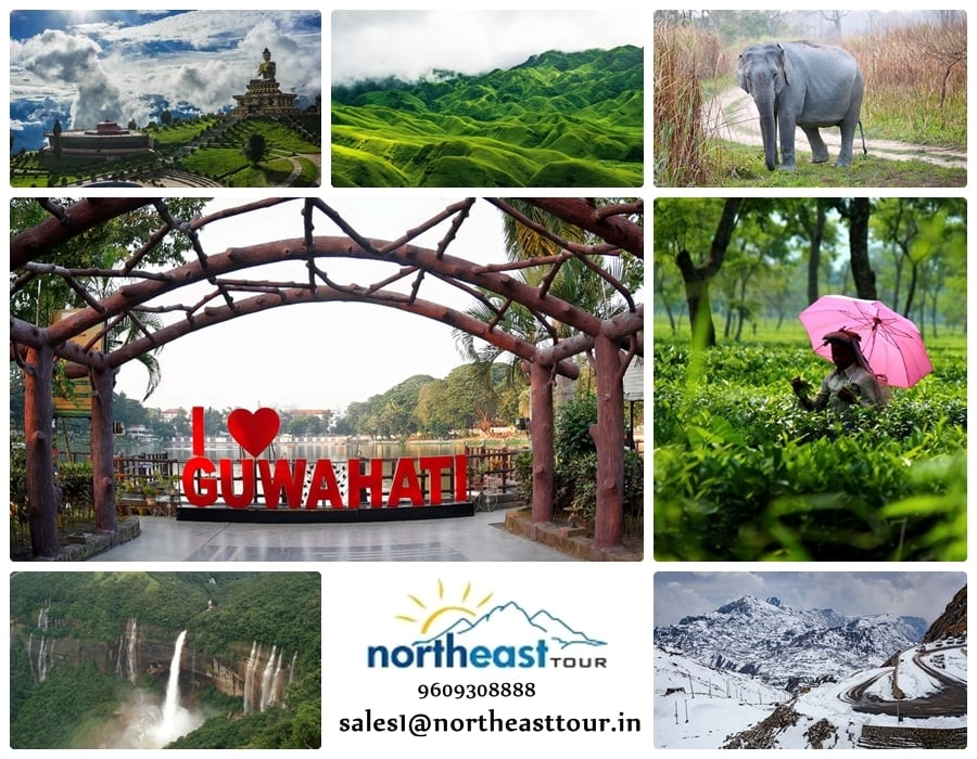 Delights of the Himalayas