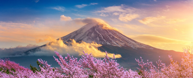 Best of Japan